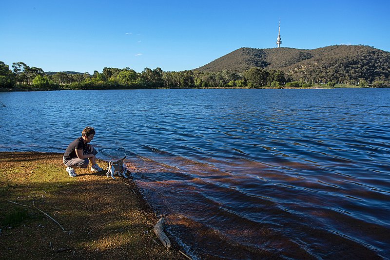 la and poopies by the lake.jpg